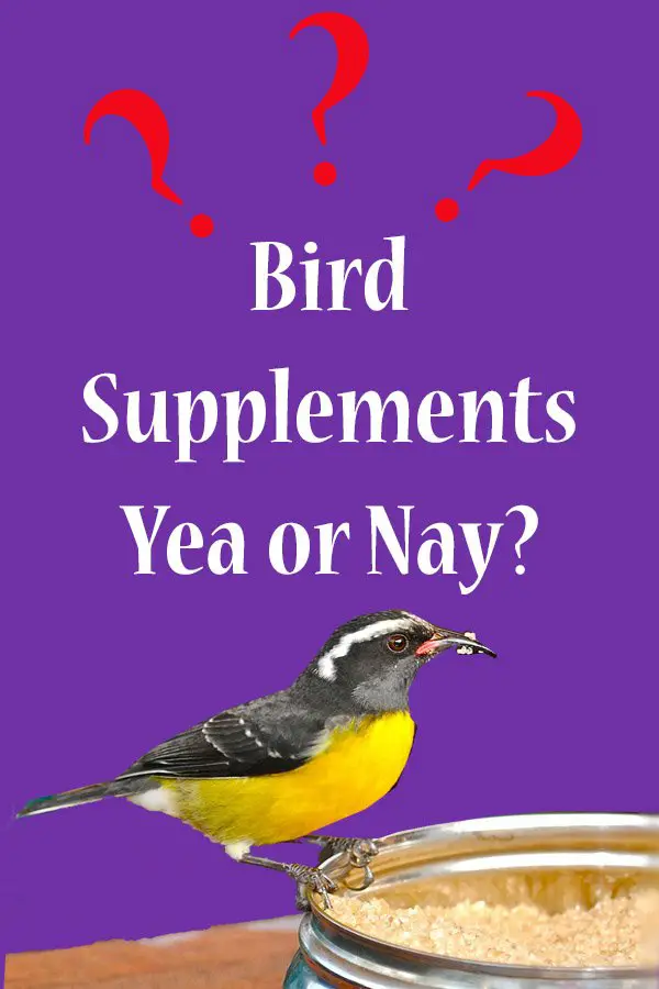 Supplements for birds yes or no