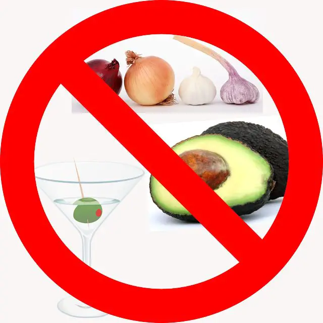 No toxic foods list