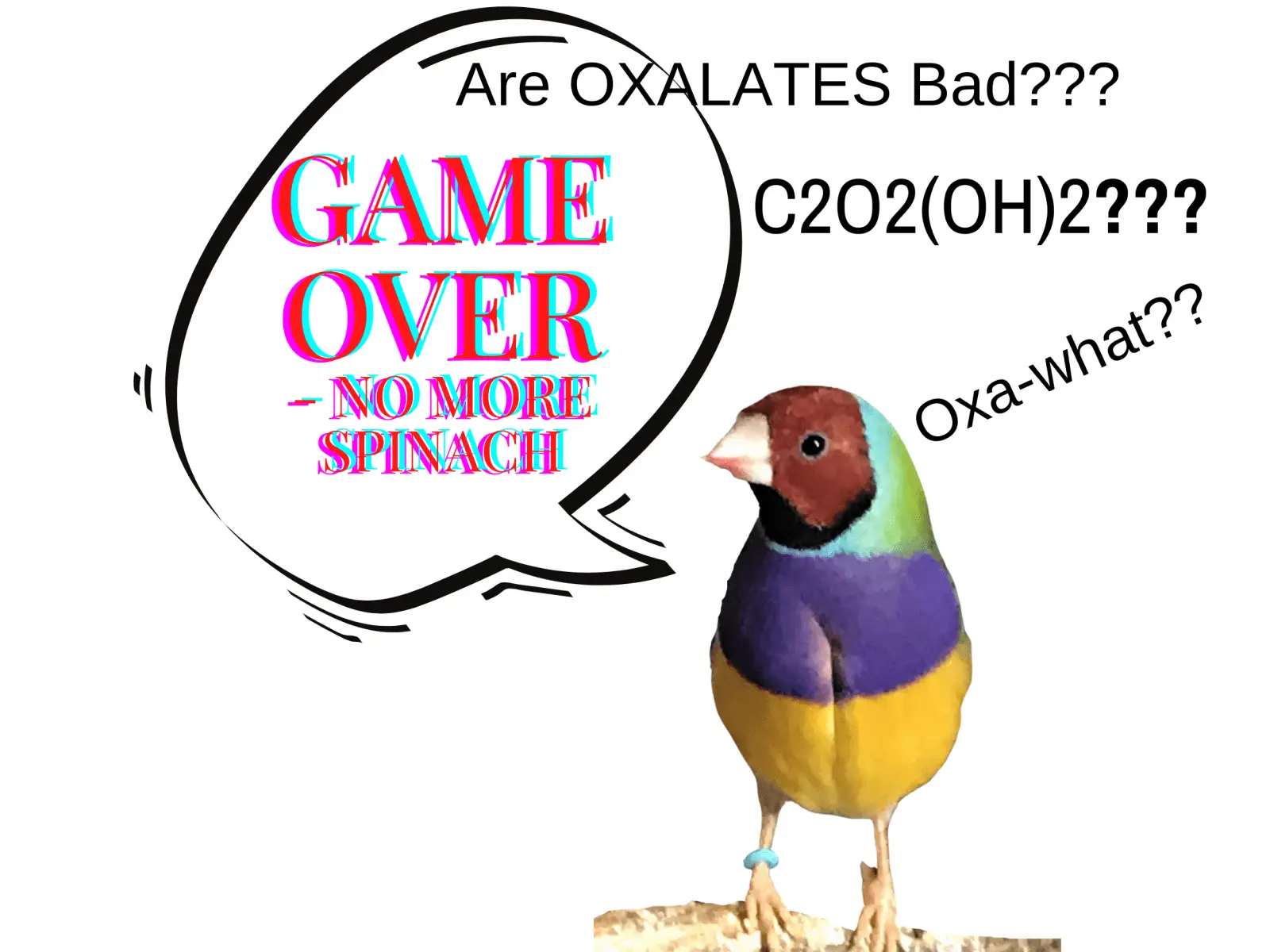 are oxalates bad