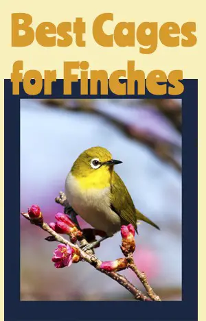 best cages for finches