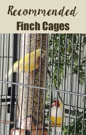 Recomnended Cages for finches