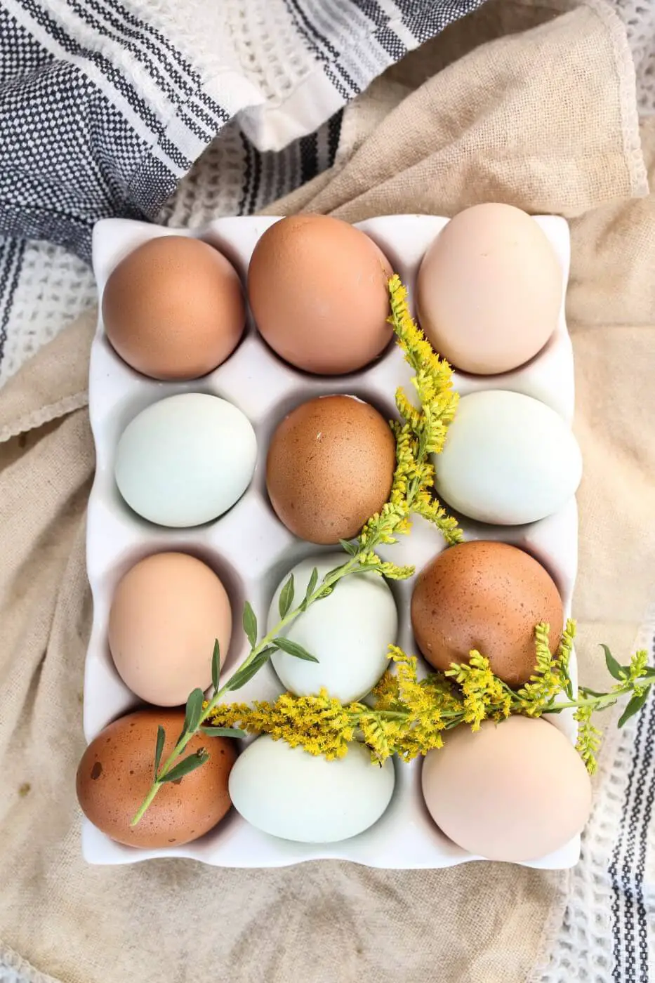 basket of eggs for egg food